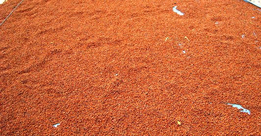 TMO'dan Kamuoyu Duyurusu