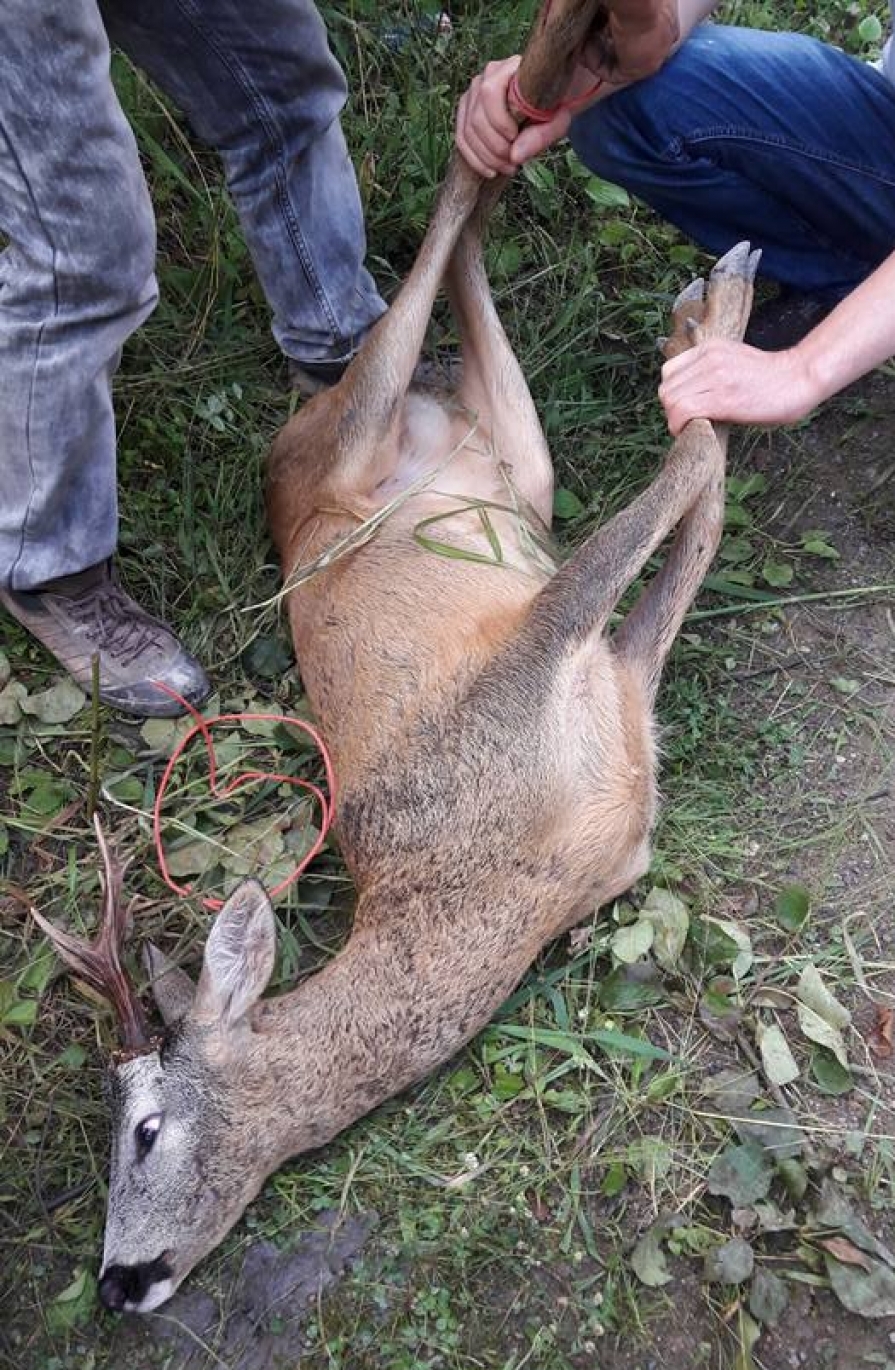 YARALI KARACAYA MUHTAR SAHİP ÇIKTI