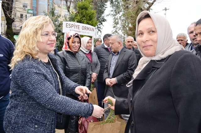 Orman Haftası’nda  1000 fidan dağıtıldı