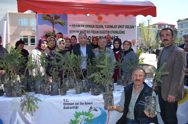 AK PARTİ KADIN KOLLARI BAŞKANLIĞINDAN ORMAN HAFTASI ETKİNLİĞİ...