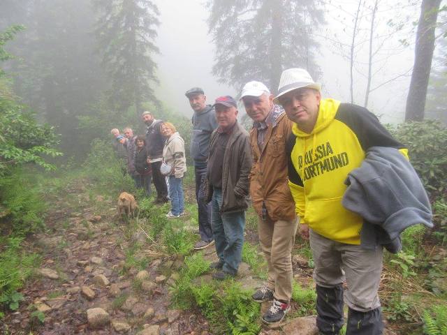 GEZGİNLERDEN DÜĞDÜL DOĞA YÜRÜYÜŞÜ   