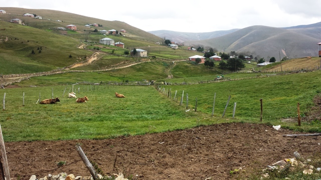 YAYLALARDAN  DÖNÜŞLER  BAŞLADI
